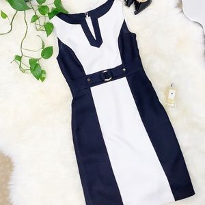 Tahari Black and White Professional Dress
